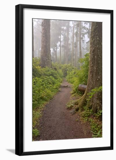 Footpath in foggy forest along Oregon Coast, Oregon, USA-null-Framed Photographic Print