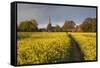 Footpath in rapeseed field to village of Peasemore and St. Barnabas church, Peasemore-Stuart Black-Framed Stretched Canvas