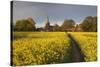 Footpath in rapeseed field to village of Peasemore and St. Barnabas church, Peasemore-Stuart Black-Stretched Canvas