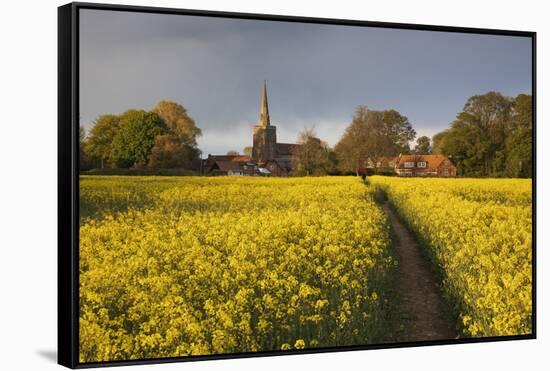 Footpath in rapeseed field to village of Peasemore and St. Barnabas church, Peasemore-Stuart Black-Framed Stretched Canvas