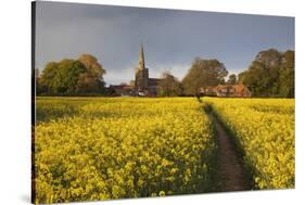 Footpath in rapeseed field to village of Peasemore and St. Barnabas church, Peasemore-Stuart Black-Stretched Canvas