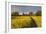 Footpath in rapeseed field to village of Peasemore and St. Barnabas church, Peasemore-Stuart Black-Framed Photographic Print