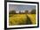 Footpath in rapeseed field to village of Peasemore and St. Barnabas church, Peasemore-Stuart Black-Framed Photographic Print