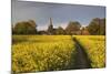 Footpath in rapeseed field to village of Peasemore and St. Barnabas church, Peasemore-Stuart Black-Mounted Photographic Print