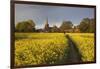 Footpath in rapeseed field to village of Peasemore and St. Barnabas church, Peasemore-Stuart Black-Framed Photographic Print