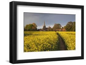 Footpath in rapeseed field to village of Peasemore and St. Barnabas church, Peasemore-Stuart Black-Framed Photographic Print