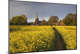 Footpath in rapeseed field to village of Peasemore and St. Barnabas church, Peasemore-Stuart Black-Mounted Photographic Print