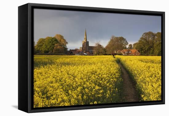 Footpath in rapeseed field to village of Peasemore and St. Barnabas church, Peasemore-Stuart Black-Framed Stretched Canvas