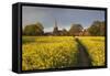 Footpath in rapeseed field to village of Peasemore and St. Barnabas church, Peasemore-Stuart Black-Framed Stretched Canvas