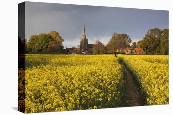 Footpath in rapeseed field to village of Peasemore and St. Barnabas church, Peasemore-Stuart Black-Stretched Canvas