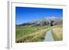 Footpath Leading to Craigieburn Forest Park from Castle Hill-Michael-Framed Photographic Print