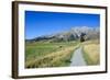 Footpath Leading to Craigieburn Forest Park from Castle Hill-Michael-Framed Photographic Print