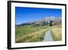 Footpath Leading to Craigieburn Forest Park from Castle Hill-Michael-Framed Photographic Print