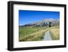 Footpath Leading to Craigieburn Forest Park from Castle Hill-Michael-Framed Photographic Print