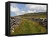 Footpath on the Dales Way, Grassington, Yorkshire Dales National Park, North Yorkshire, England, UK-White Gary-Framed Stretched Canvas