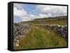 Footpath on the Dales Way, Grassington, Yorkshire Dales National Park, North Yorkshire, England, UK-White Gary-Framed Stretched Canvas