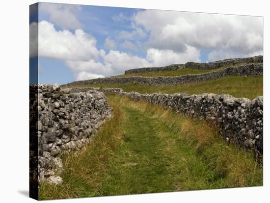 Footpath on the Dales Way, Grassington, Yorkshire Dales National Park, North Yorkshire, England, UK-White Gary-Stretched Canvas
