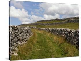 Footpath on the Dales Way, Grassington, Yorkshire Dales National Park, North Yorkshire, England, UK-White Gary-Stretched Canvas