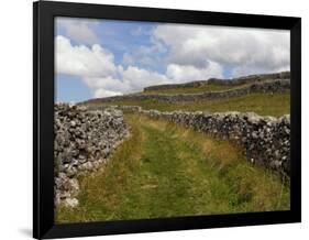 Footpath on the Dales Way, Grassington, Yorkshire Dales National Park, North Yorkshire, England, UK-White Gary-Framed Premium Photographic Print