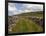 Footpath on the Dales Way, Grassington, Yorkshire Dales National Park, North Yorkshire, England, UK-White Gary-Framed Premium Photographic Print