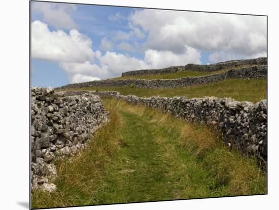 Footpath on the Dales Way, Grassington, Yorkshire Dales National Park, North Yorkshire, England, UK-White Gary-Mounted Photographic Print