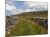 Footpath on the Dales Way, Grassington, Yorkshire Dales National Park, North Yorkshire, England, UK-White Gary-Mounted Photographic Print