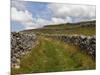 Footpath on the Dales Way, Grassington, Yorkshire Dales National Park, North Yorkshire, England, UK-White Gary-Mounted Photographic Print