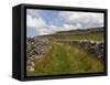 Footpath on the Dales Way, Grassington, Yorkshire Dales National Park, North Yorkshire, England, UK-White Gary-Framed Stretched Canvas