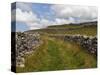 Footpath on the Dales Way, Grassington, Yorkshire Dales National Park, North Yorkshire, England, UK-White Gary-Stretched Canvas