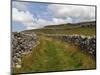 Footpath on the Dales Way, Grassington, Yorkshire Dales National Park, North Yorkshire, England, UK-White Gary-Mounted Photographic Print