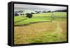 Footpath over Meadows in Crummack Dale, Yorkshire, England, United Kingdom, Europe-Mark Sunderland-Framed Stretched Canvas