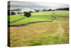 Footpath over Meadows in Crummack Dale, Yorkshire, England, United Kingdom, Europe-Mark Sunderland-Stretched Canvas