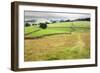 Footpath over Meadows in Crummack Dale, Yorkshire, England, United Kingdom, Europe-Mark Sunderland-Framed Photographic Print