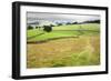 Footpath over Meadows in Crummack Dale, Yorkshire, England, United Kingdom, Europe-Mark Sunderland-Framed Photographic Print