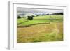 Footpath over Meadows in Crummack Dale, Yorkshire, England, United Kingdom, Europe-Mark Sunderland-Framed Photographic Print