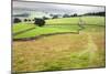 Footpath over Meadows in Crummack Dale, Yorkshire, England, United Kingdom, Europe-Mark Sunderland-Mounted Photographic Print