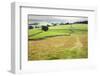 Footpath over Meadows in Crummack Dale, Yorkshire, England, United Kingdom, Europe-Mark Sunderland-Framed Photographic Print