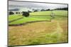 Footpath over Meadows in Crummack Dale, Yorkshire, England, United Kingdom, Europe-Mark Sunderland-Mounted Photographic Print