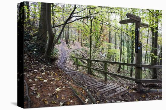 Footpath Sign at Milners Fork in Nidd Gorge Woods Near Bilton-Mark Sunderland-Stretched Canvas