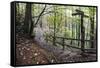 Footpath Sign at Milners Fork in Nidd Gorge Woods Near Bilton-Mark Sunderland-Framed Stretched Canvas