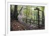 Footpath Sign at Milners Fork in Nidd Gorge Woods Near Bilton-Mark Sunderland-Framed Photographic Print