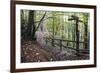 Footpath Sign at Milners Fork in Nidd Gorge Woods Near Bilton-Mark Sunderland-Framed Photographic Print