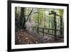 Footpath Sign at Milners Fork in Nidd Gorge Woods Near Bilton-Mark Sunderland-Framed Photographic Print