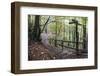 Footpath Sign at Milners Fork in Nidd Gorge Woods Near Bilton-Mark Sunderland-Framed Photographic Print