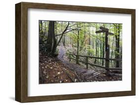 Footpath Sign at Milners Fork in Nidd Gorge Woods Near Bilton-Mark Sunderland-Framed Photographic Print