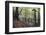 Footpath Sign at Milners Fork in Nidd Gorge Woods Near Bilton-Mark Sunderland-Framed Photographic Print