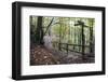 Footpath Sign at Milners Fork in Nidd Gorge Woods Near Bilton-Mark Sunderland-Framed Photographic Print