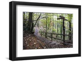 Footpath Sign at Milners Fork in Nidd Gorge Woods Near Bilton-Mark Sunderland-Framed Photographic Print