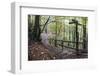 Footpath Sign at Milners Fork in Nidd Gorge Woods Near Bilton-Mark Sunderland-Framed Photographic Print