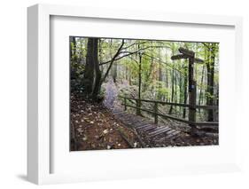 Footpath Sign at Milners Fork in Nidd Gorge Woods Near Bilton-Mark Sunderland-Framed Photographic Print